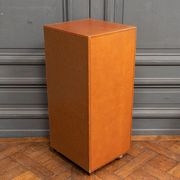 Furniture Cardboard chiffonnier leather patina fawn struck with iron 5 drawers