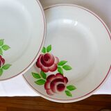 4 flat plates model Rose Mai