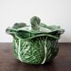Souptureen and dish in cabbage slip