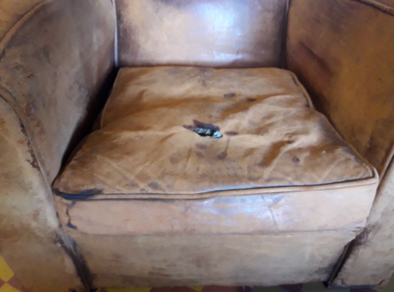 Club leather chair 50s
