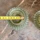 Pair of Vintage Round Glass Candle Holders