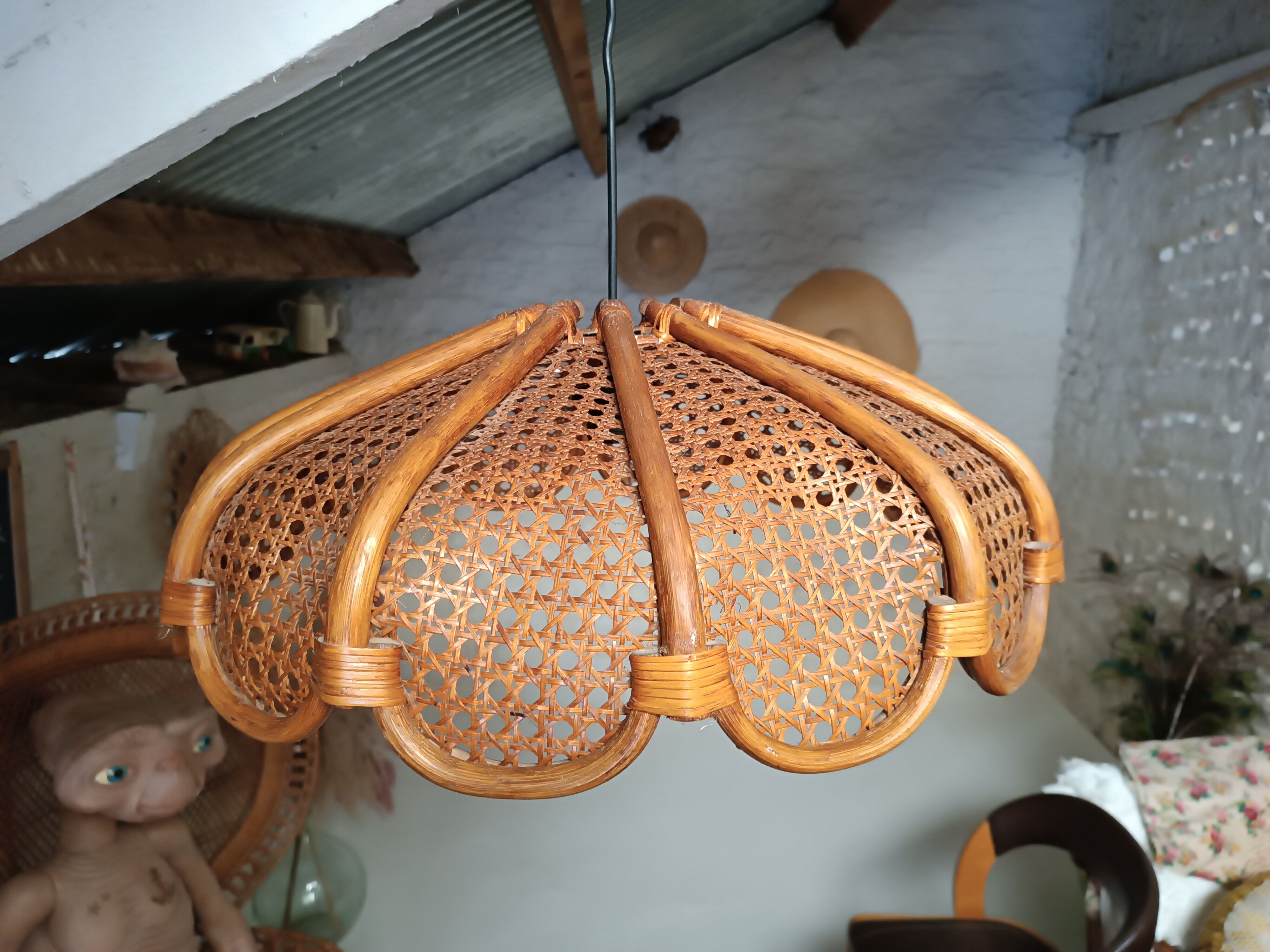 Canning suspension 1970