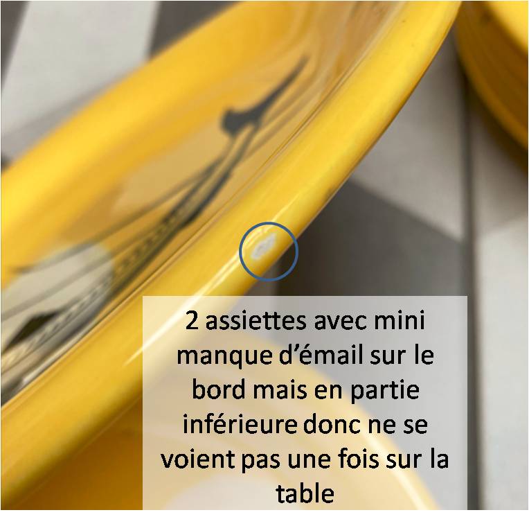 12-piece fish set from Manufacture Sainte Radegonde
