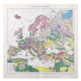 Old map of Europe 43x43cm from 1950