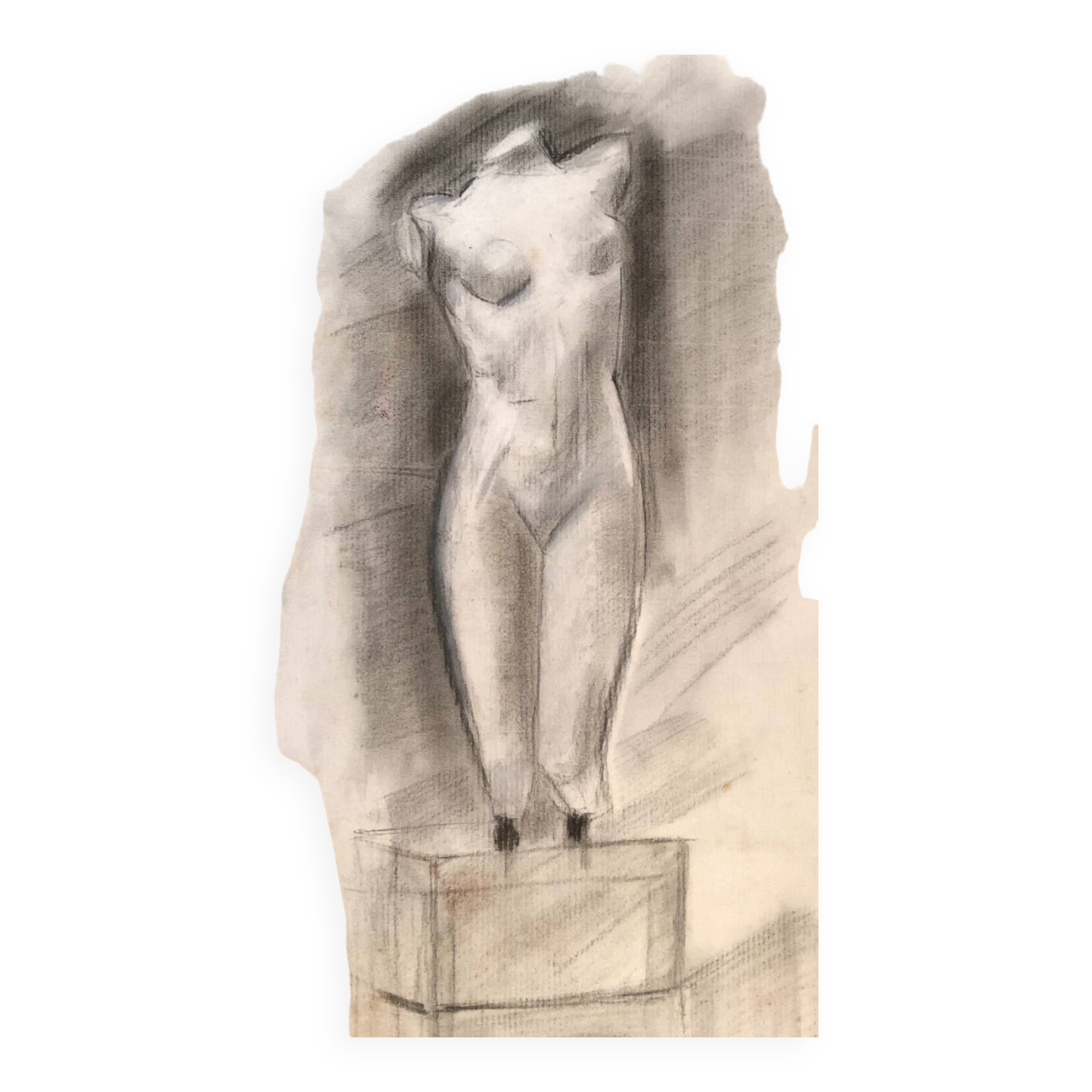 Illustration "Venus" Charcoal