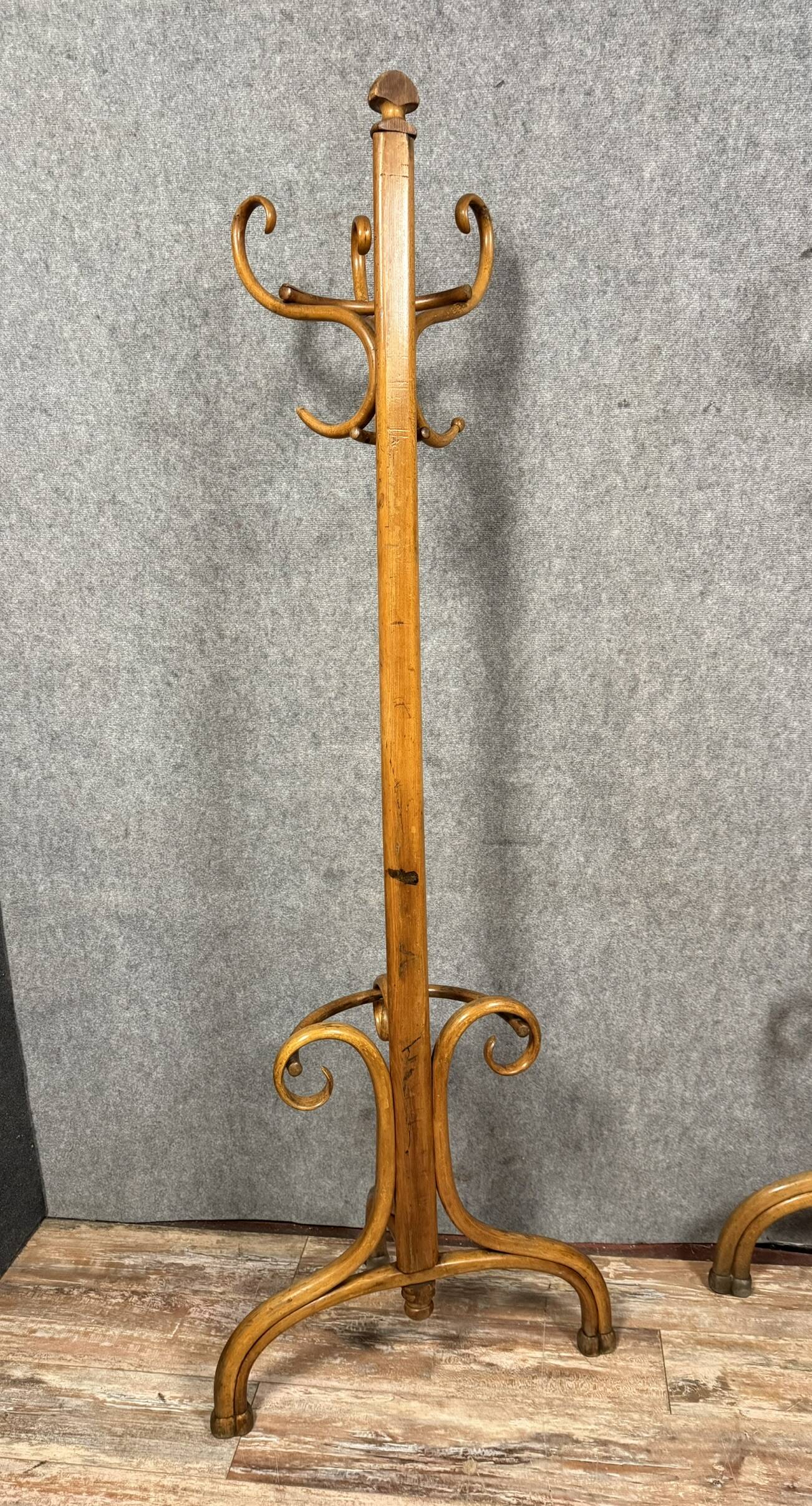 Thonet: pair of parrot coat racks in the shape of a "half-moon"