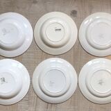 Lot of 6 mismatched plates of hand-painted French porcelain