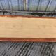 Vintage Yew Wood Bench with 3 Cushions