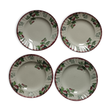4 flat plates "Montmorency"Longwy cherries