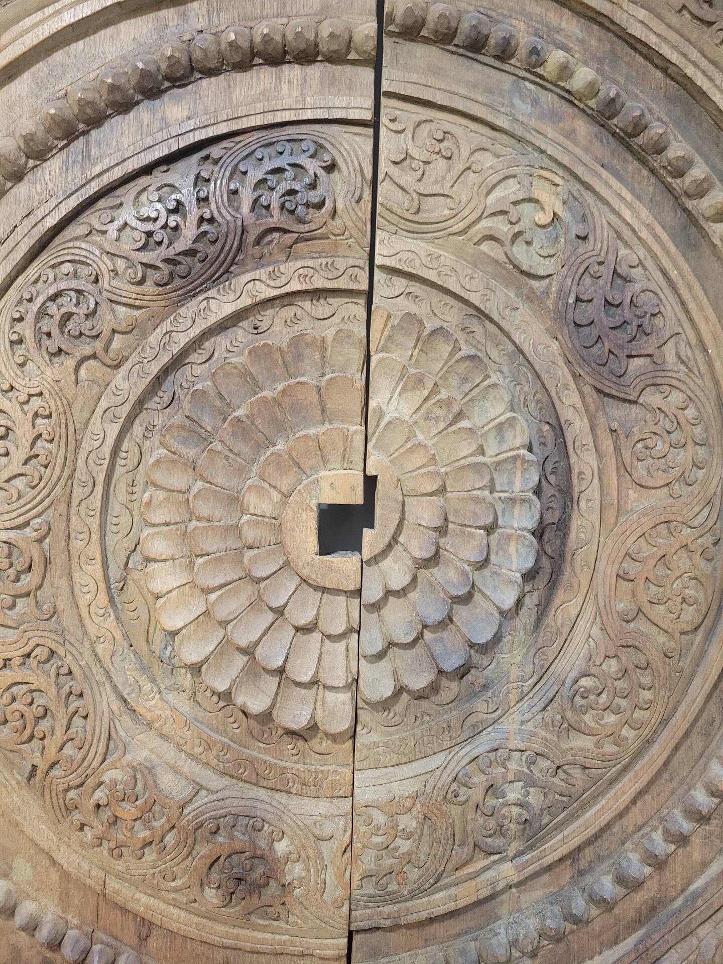 Carved wooden ceiling Curiosity cabinet 155×194cm