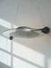 Cyclos pendant lamp – Michele De Lucchi for Artemide