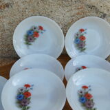 Set of 10 plates flowers of the fields - Arcopal - 70s - Vintage authentic