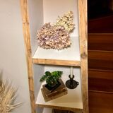 Asymmetrical shelf