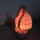 Lampe coquillage "cassis cornita" années 70
