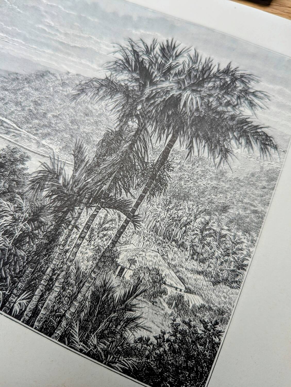 Imprimée en 1894, le lac de Kandy, Sri-Lanka.