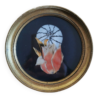 Shell collage