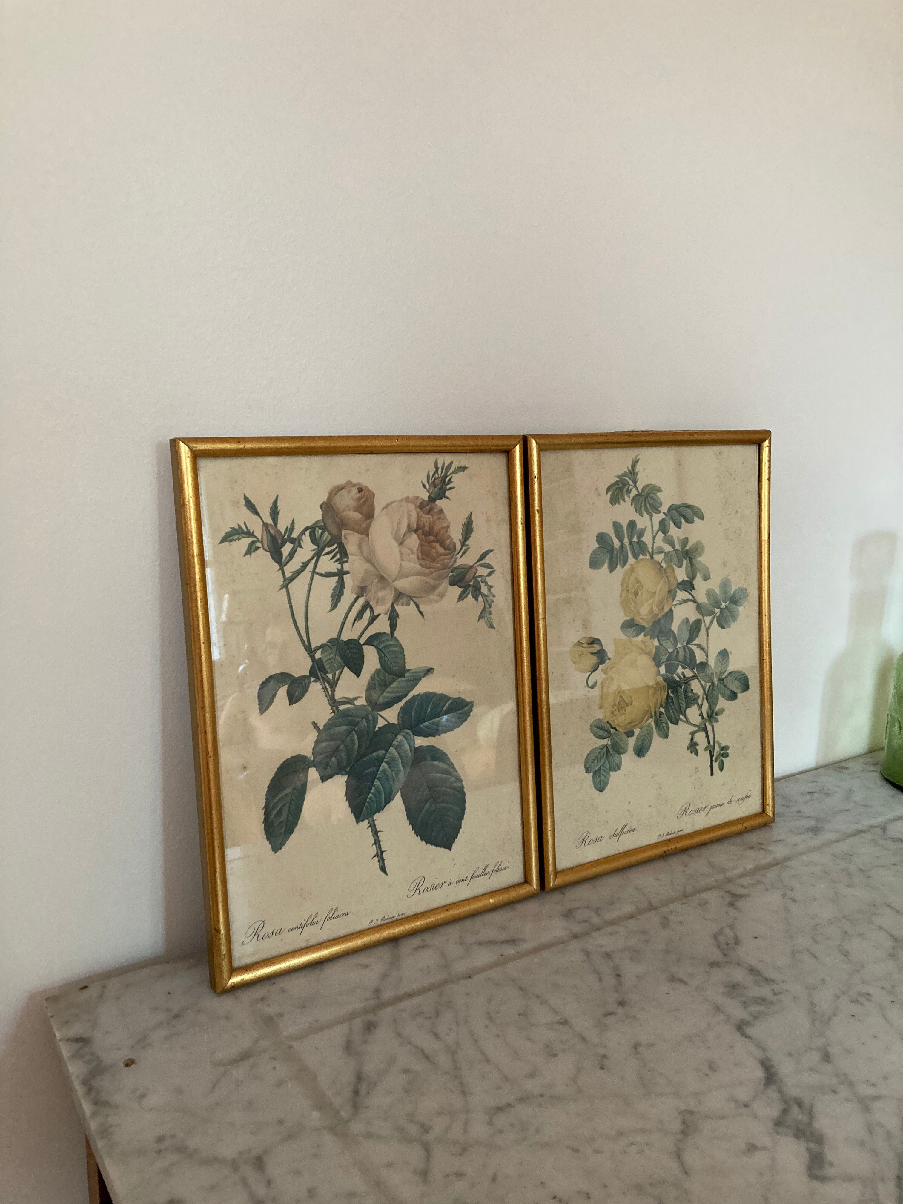 Pair of floral engravings signed redouté