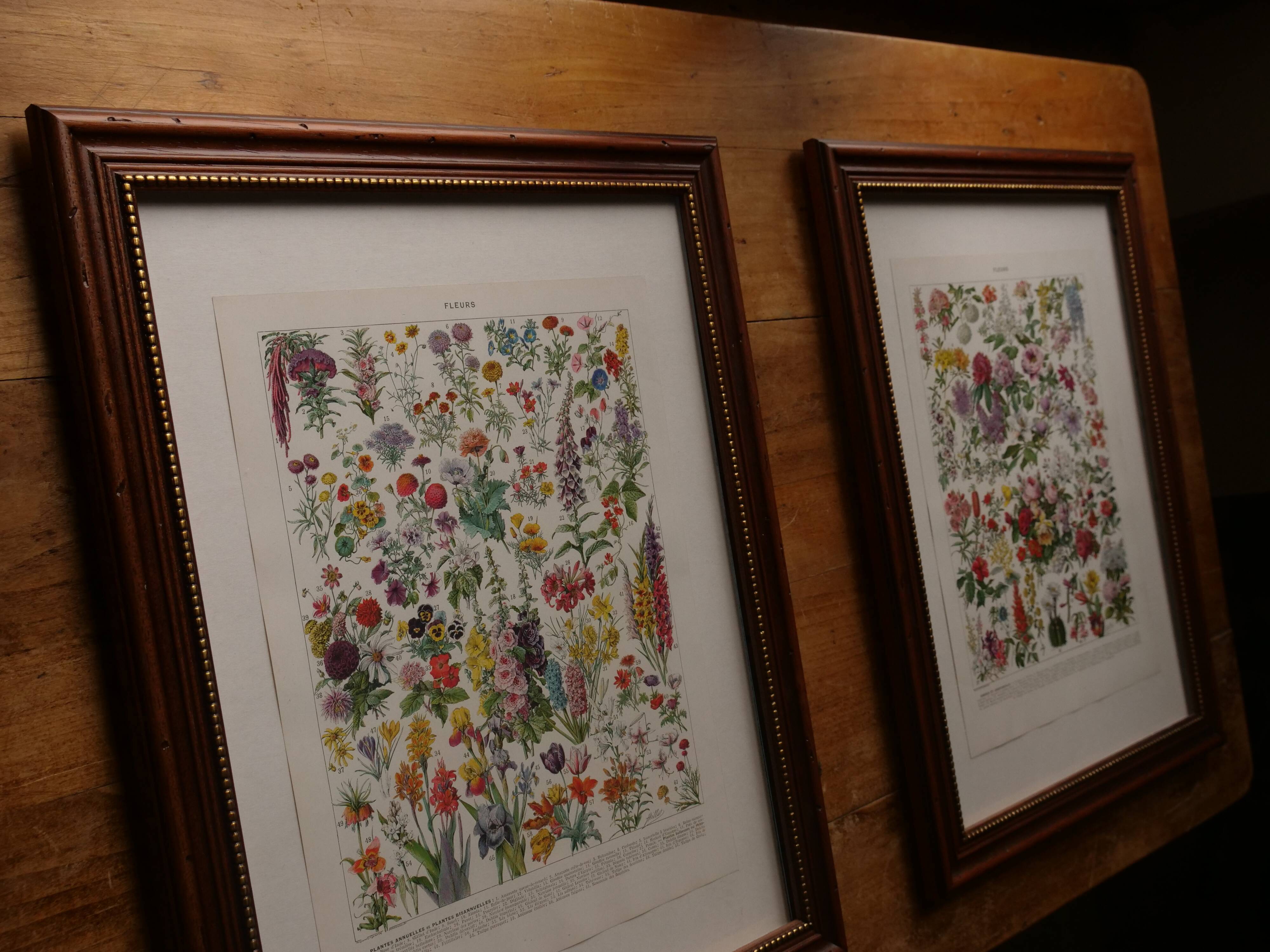 Original lithograph on Gothic art