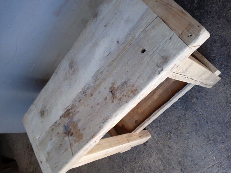 Established 100cm natural solid wood