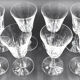 Series of 8 crystal water glasses from Saint Louis model Cerdanya H = 17.9 cm