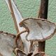 Brutalist metal lamp base, flowers