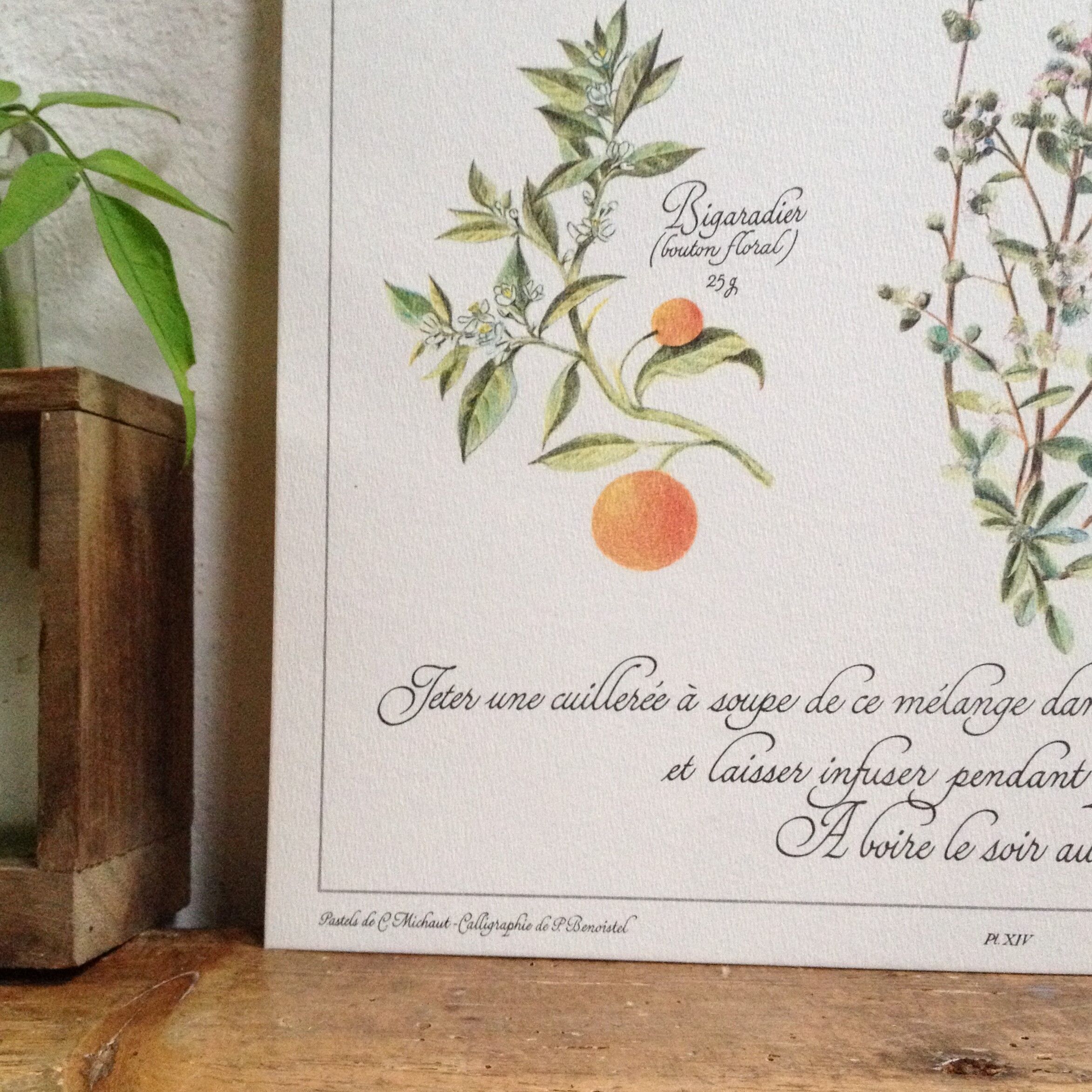 Botanical tea board to help children sleep