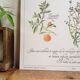 Botanical tea board to help children sleep