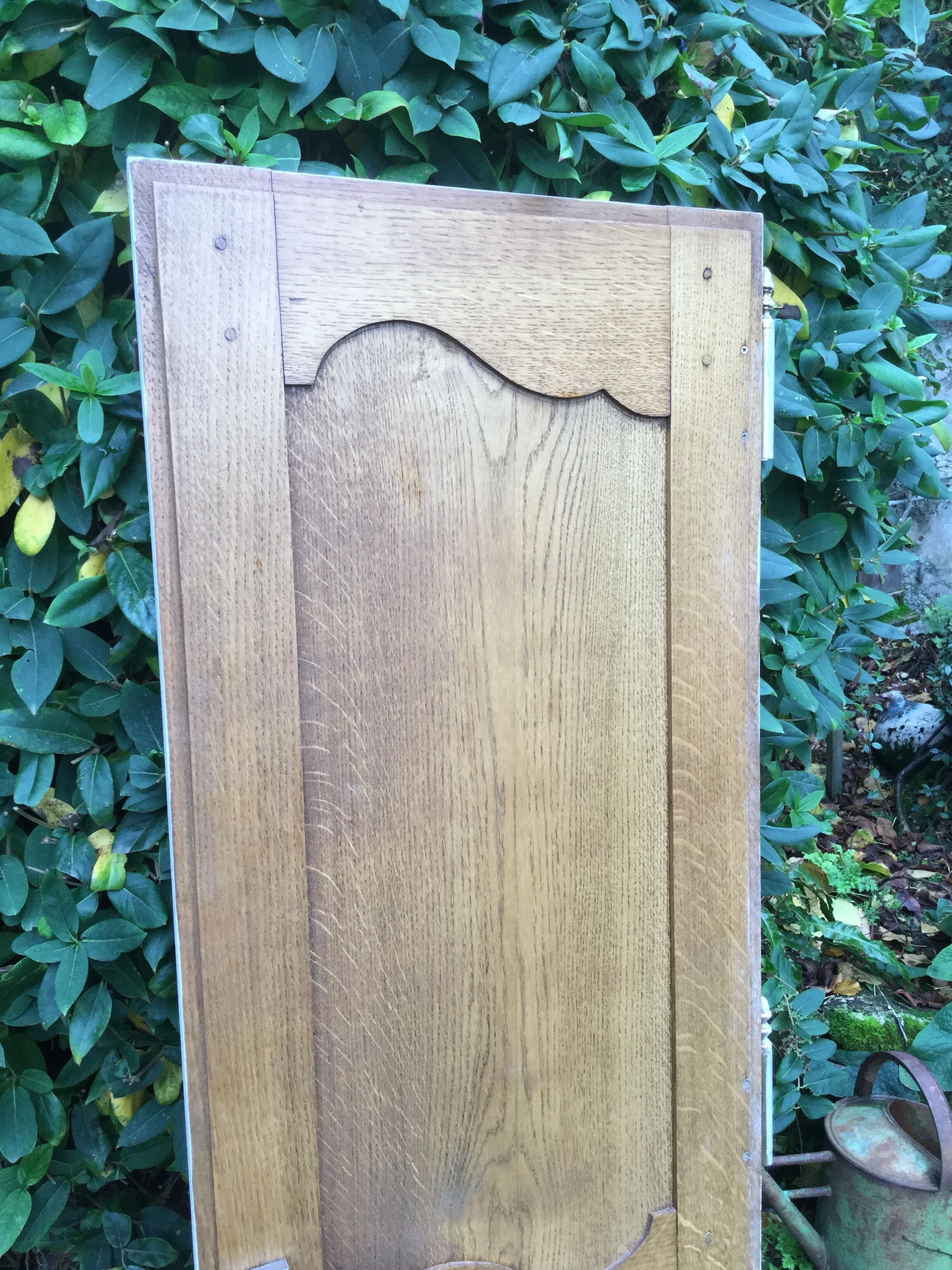 Closet doors with entourage