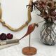 Teak and brass parrot