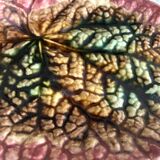 Feuilles en barbotine XIXe , raviers ou vide poche