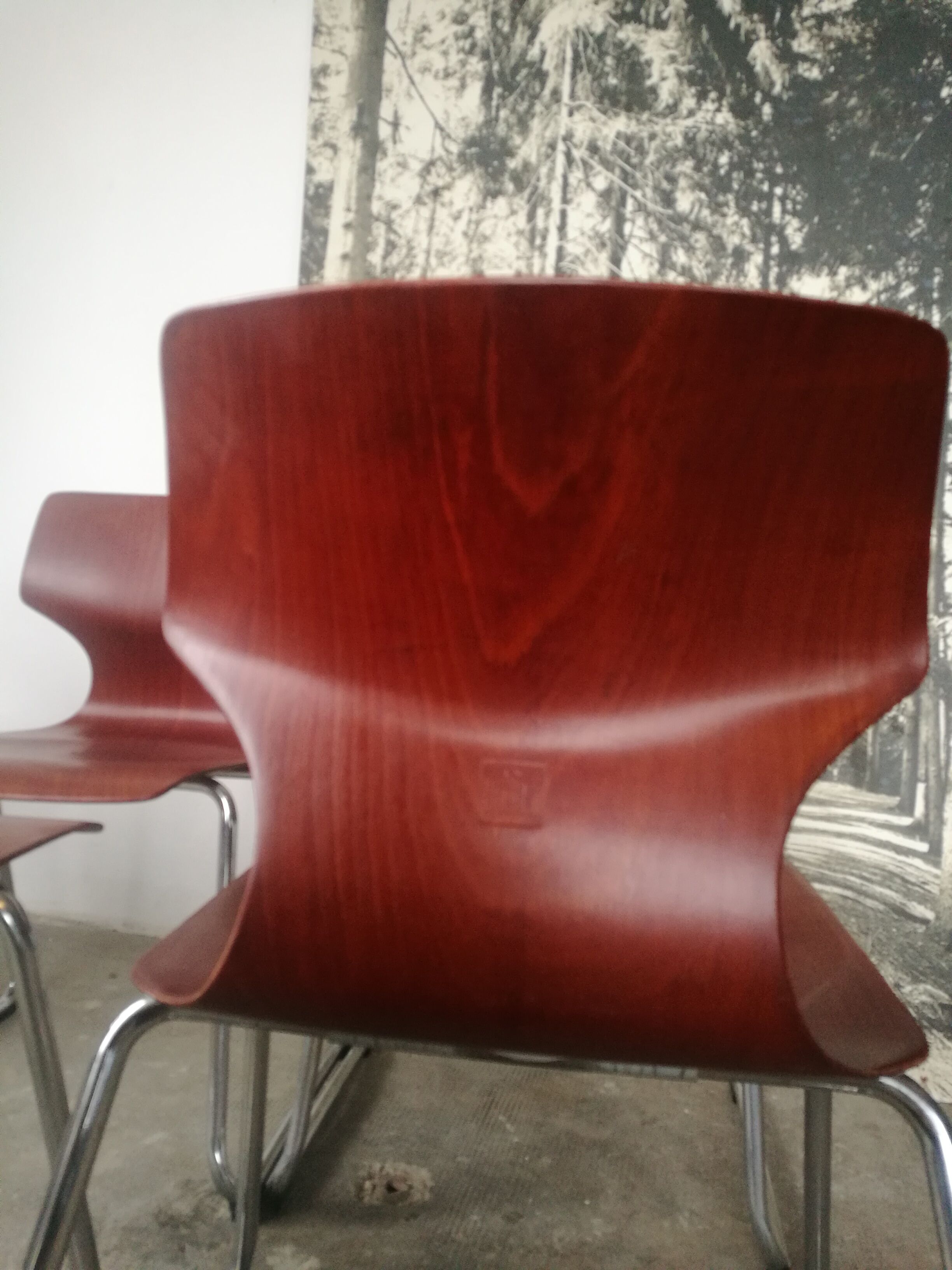 5 Flototto stackable chairs