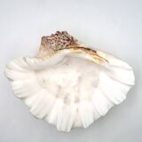 Natural shell catchall, 1970s.