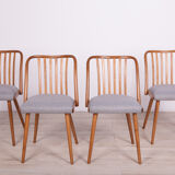 Dining Chairs by Antonín Šuman for Ton, 1960s, Set of 4