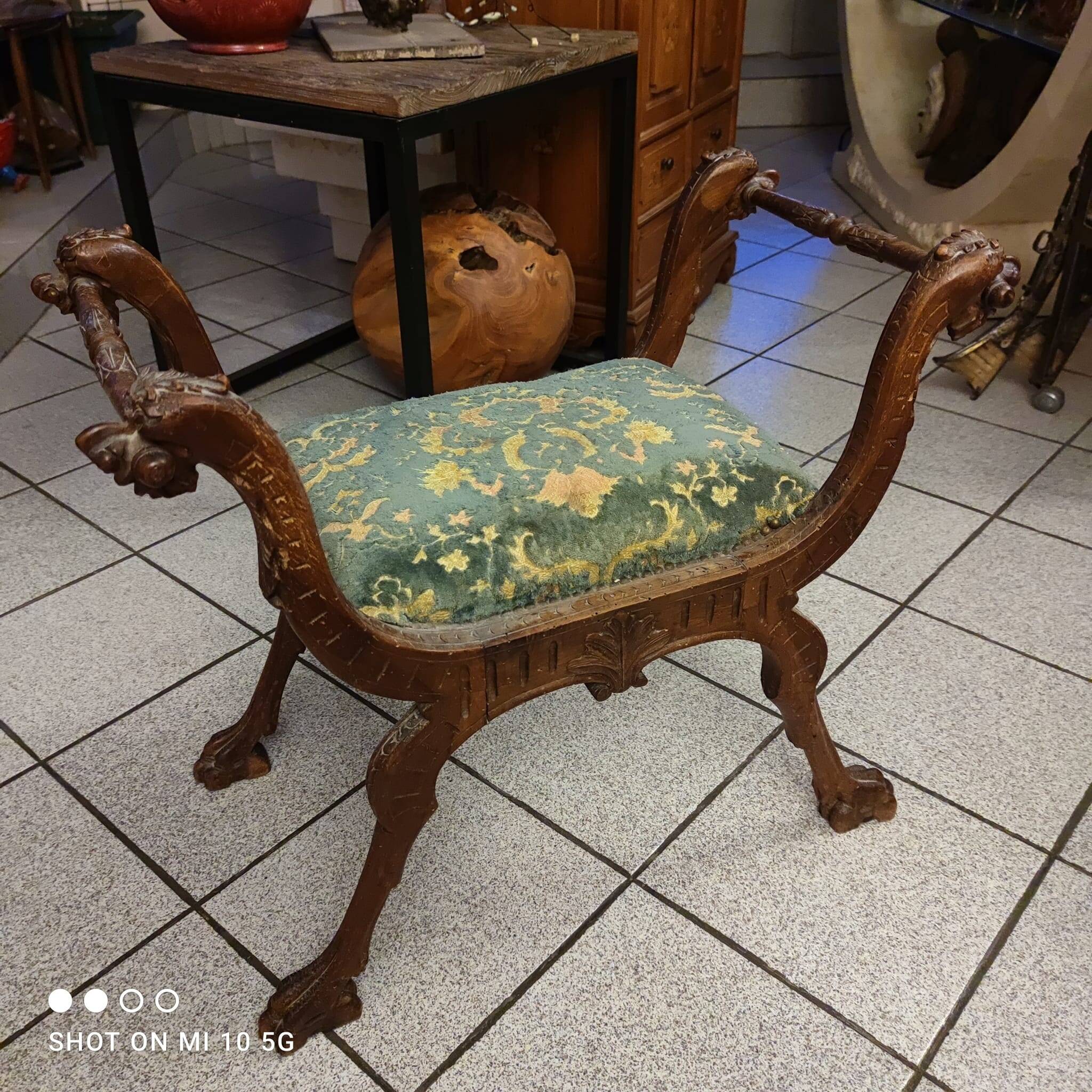 Dagobert curule armchair in walnut