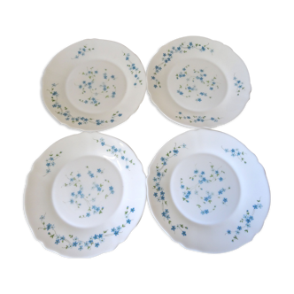 Assiettes plates Arcopal Veronica