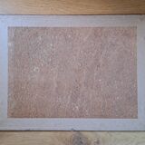 Tableau ancien huile sur bois XXÈME Colombe