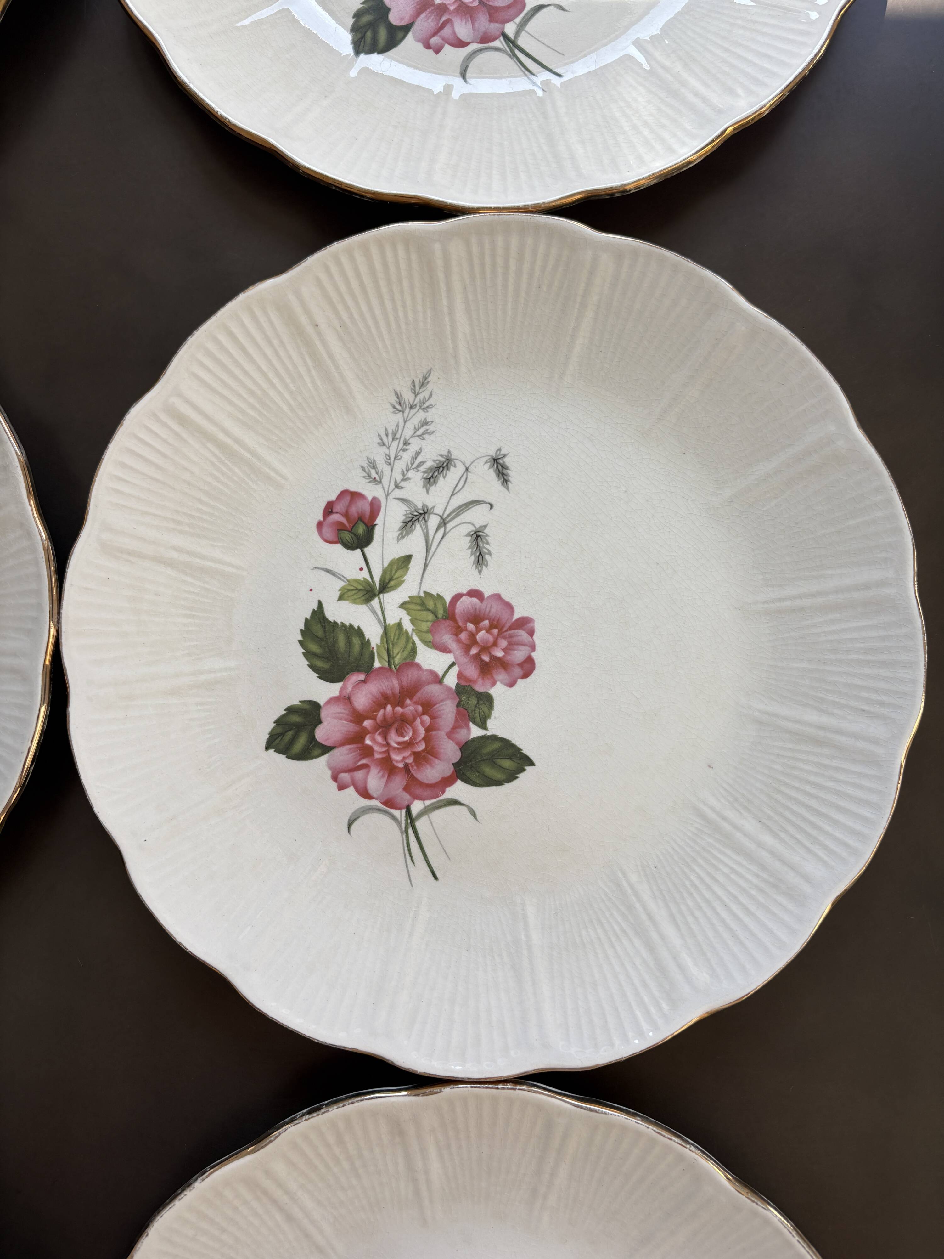8 Amandinoise dinner plates