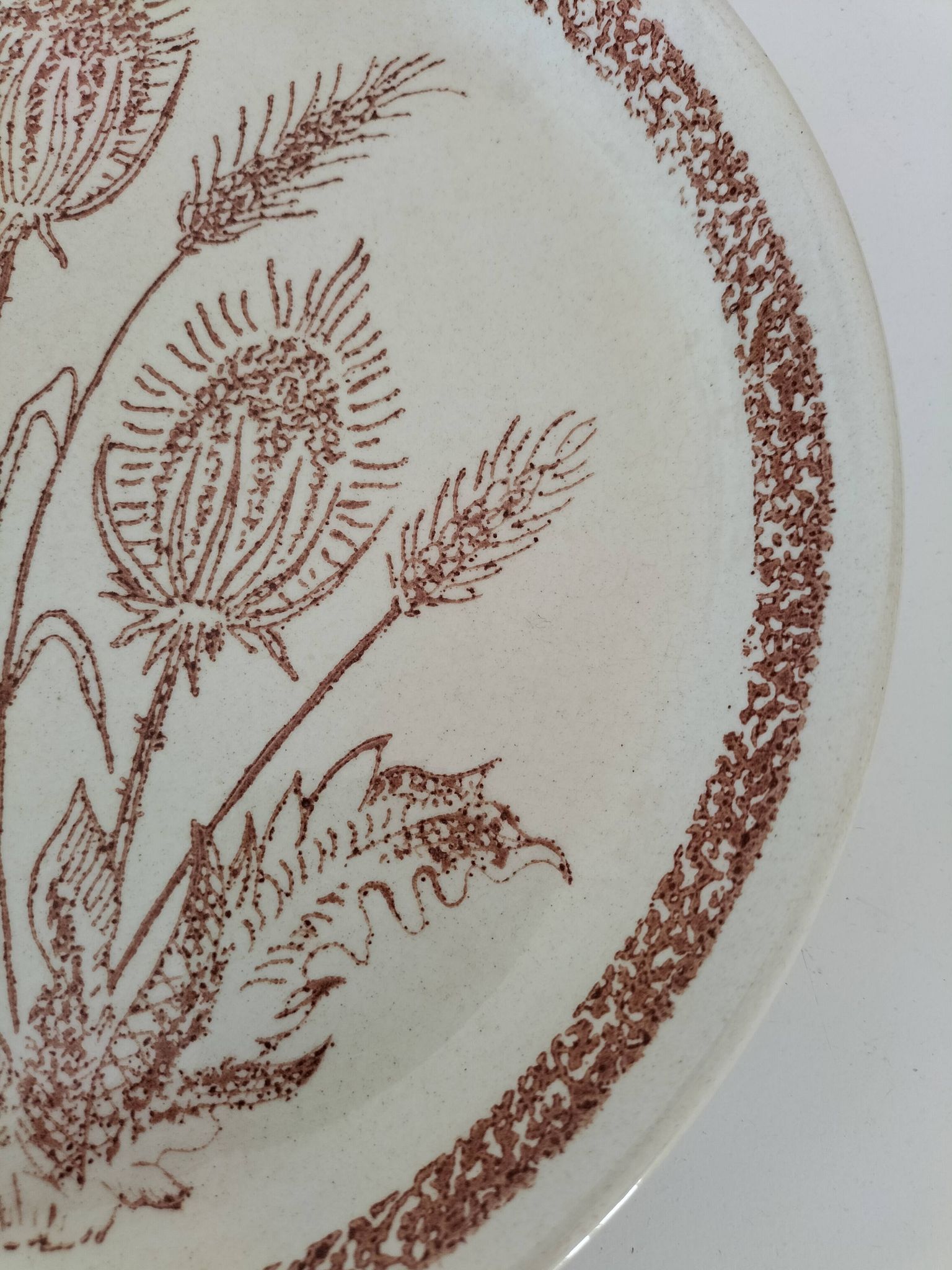 A pair of vintage plates with a rust-brown thistle design – 1950s.