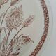 Pair of vintage plates with rusty brown thistle decoration – 1950s