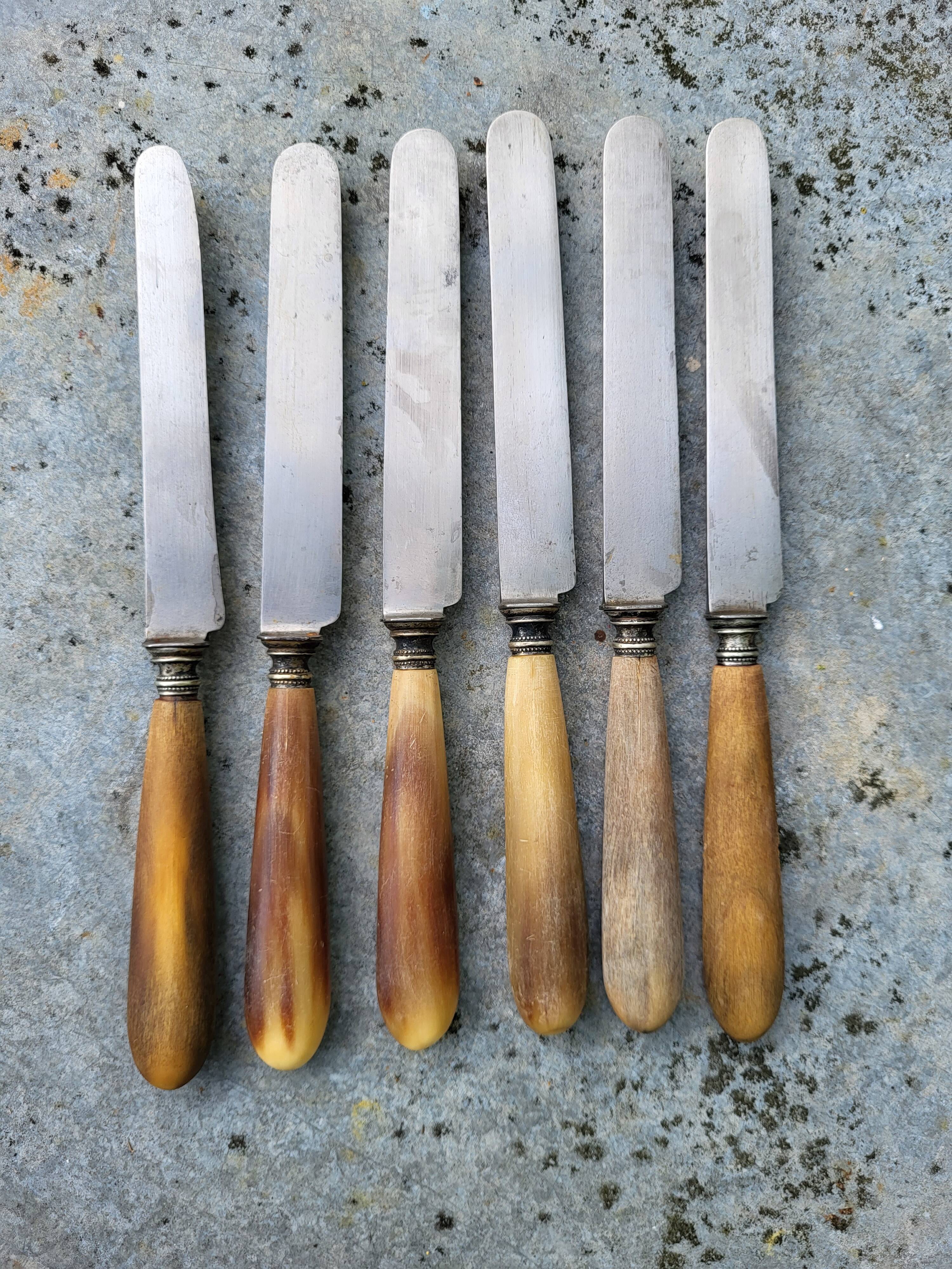 Série de 6 couteaux acier manche corne
