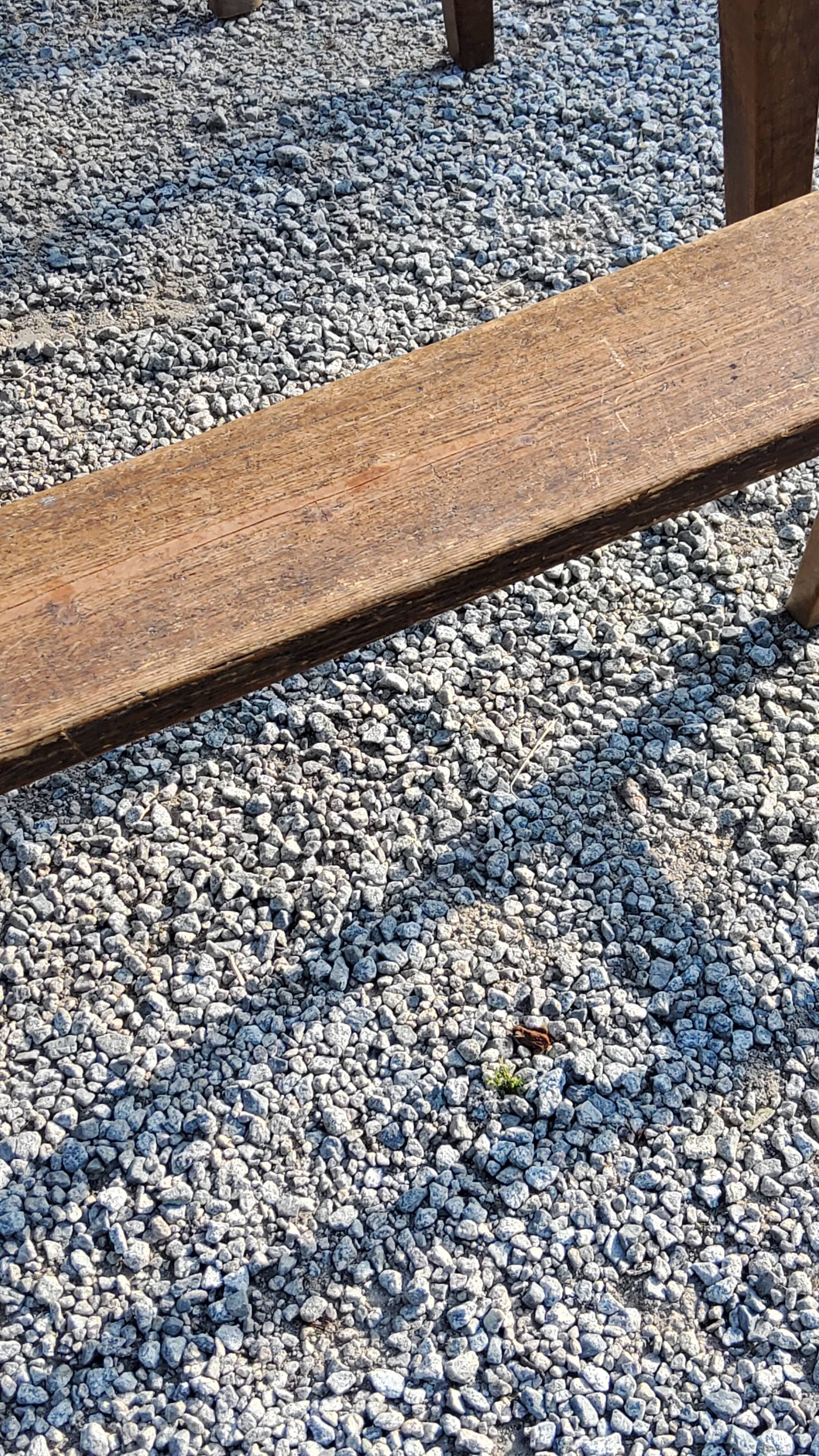 Farm table nineteenth century feet spindles 251cm and its 2 benches