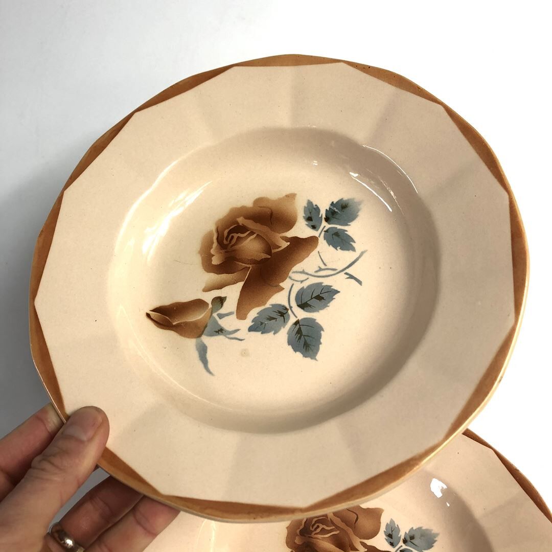2 old hollow plates Digoin Sarreguemines