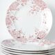 Assiettes plates terre de fer St Amand & hamage
