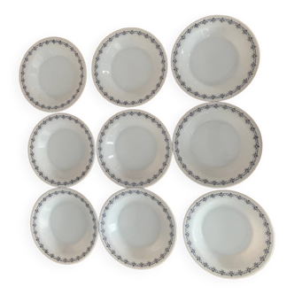 Arcopal soup plates