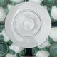 Vintage oyster service in majolica