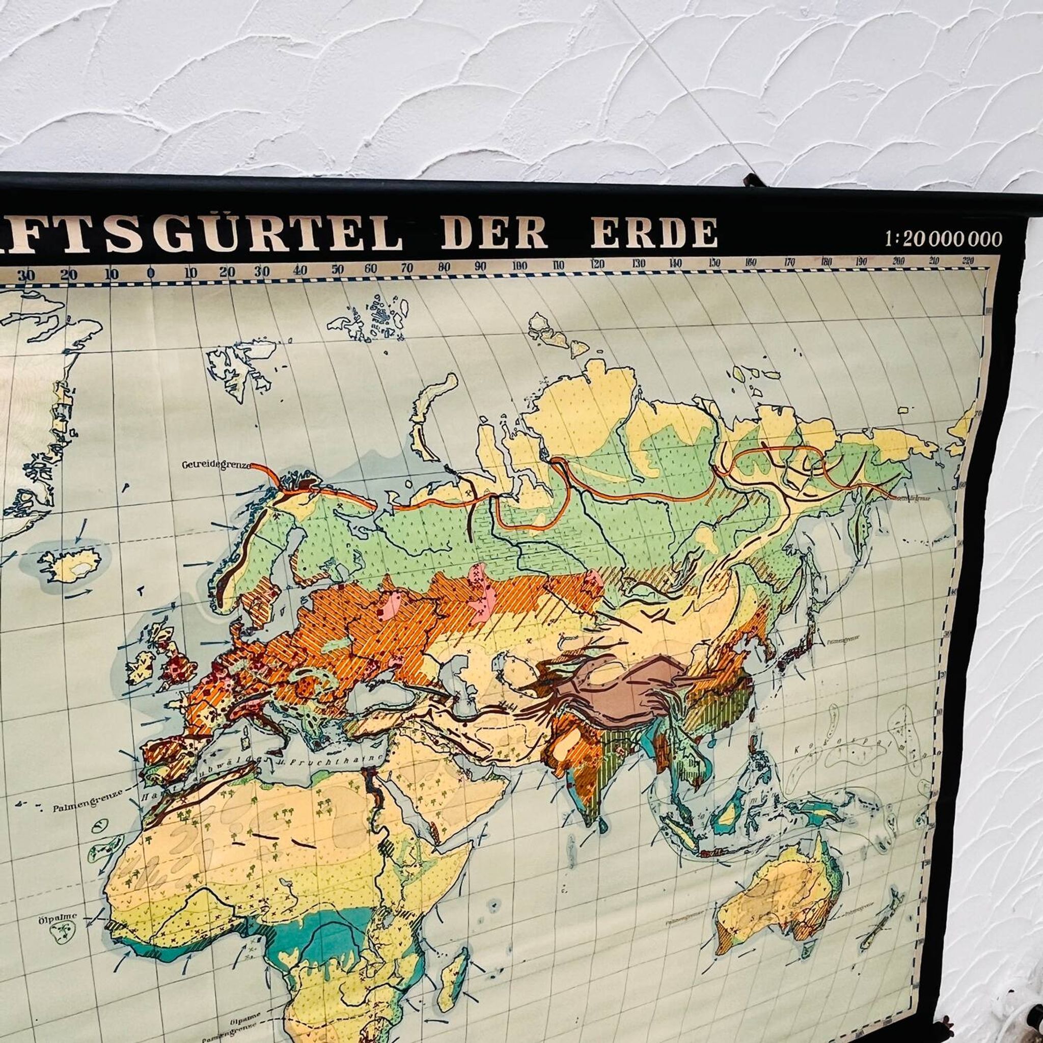 Educational map “the types of landscapes of the earth”
