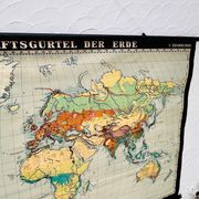 Educational map “the types of landscapes of the earth”