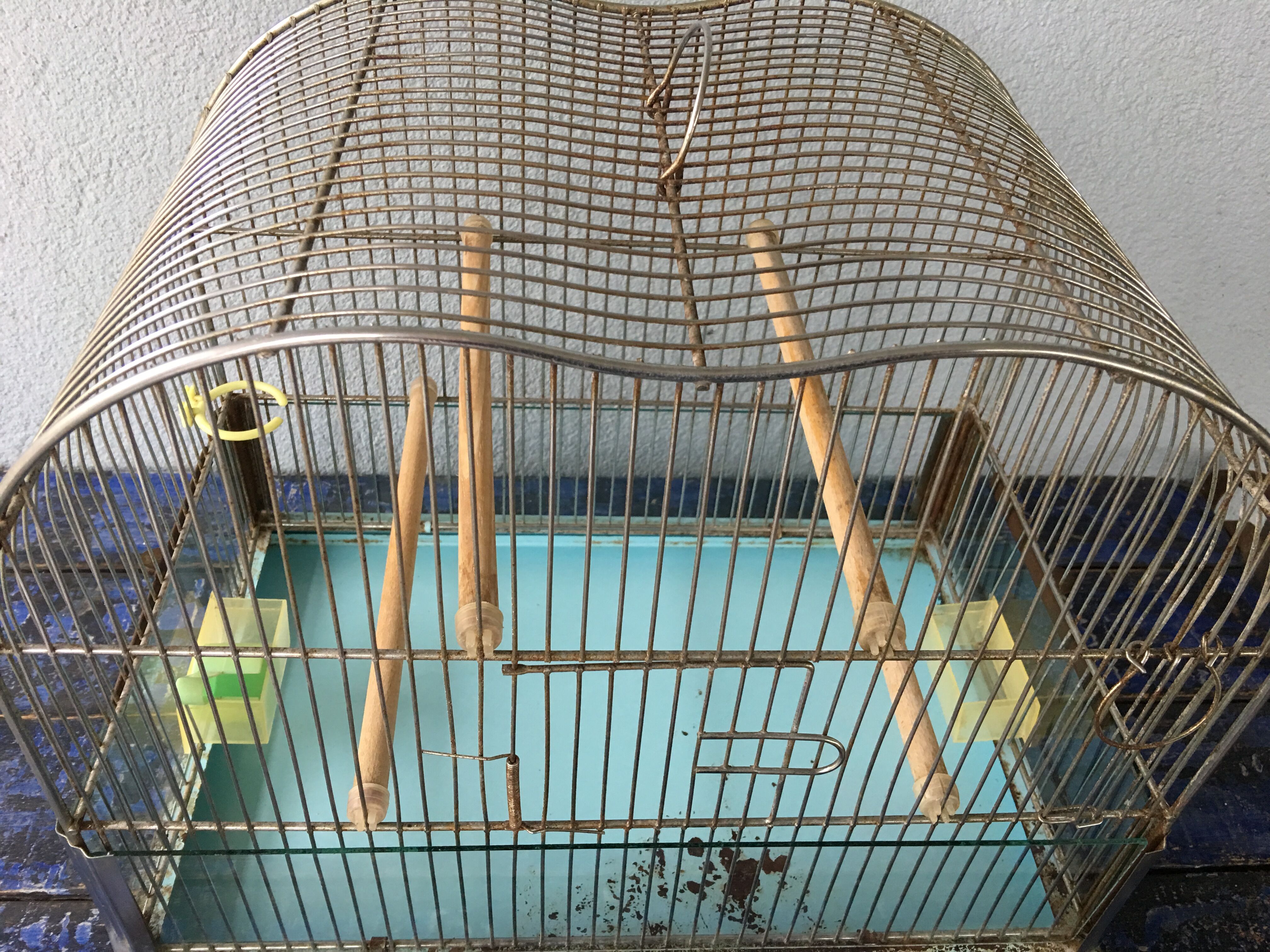 Vintage birdcage