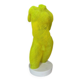 Acrylic male bust by Olivier Duhamel