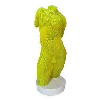 Acrylic male bust by Olivier Duhamel